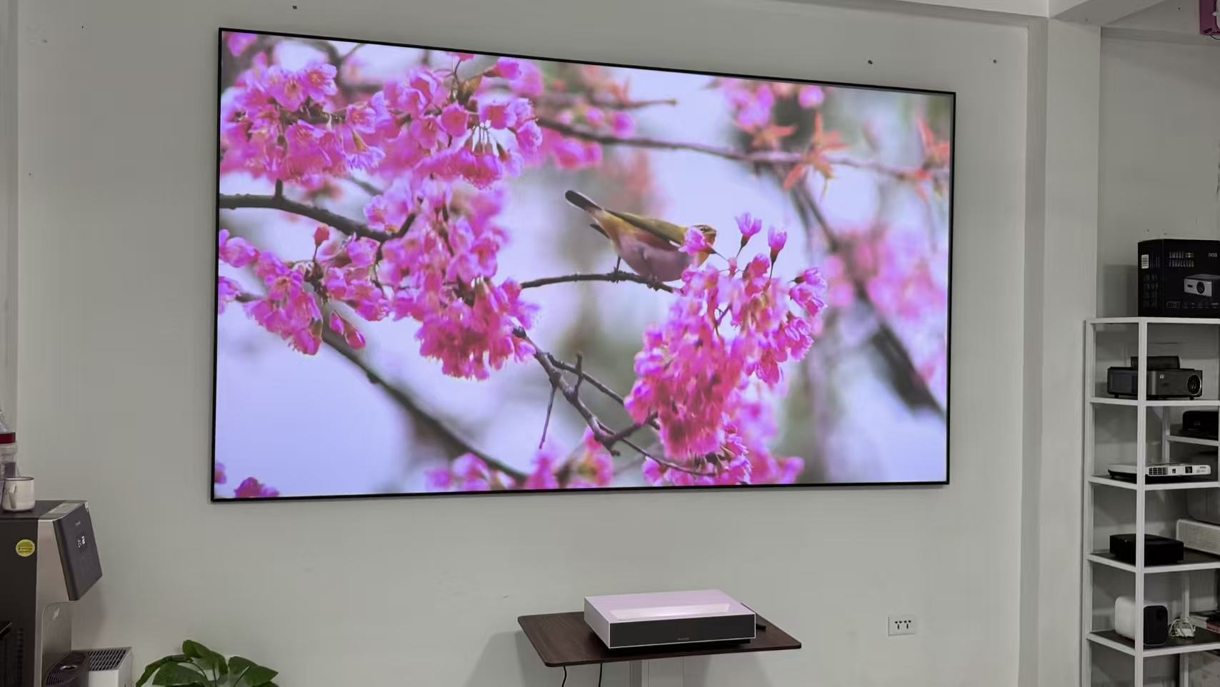 Máy chiếu LED – Máy Chiếu Chính Hãng – Giá Tốt | Giao Hàng Toàn Quốc