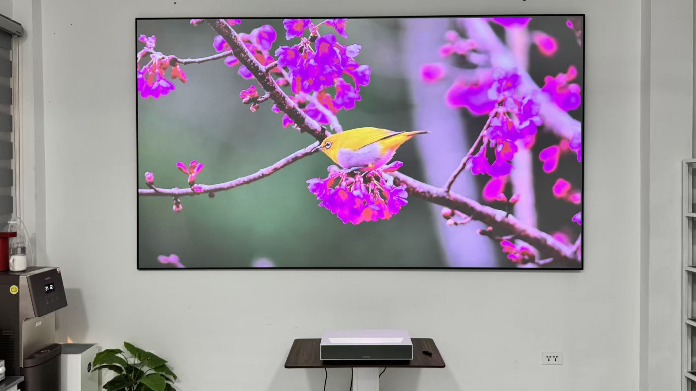 Máy chiếu LED – Máy Chiếu Chính Hãng – Giá Tốt | Giao Hàng Toàn Quốc