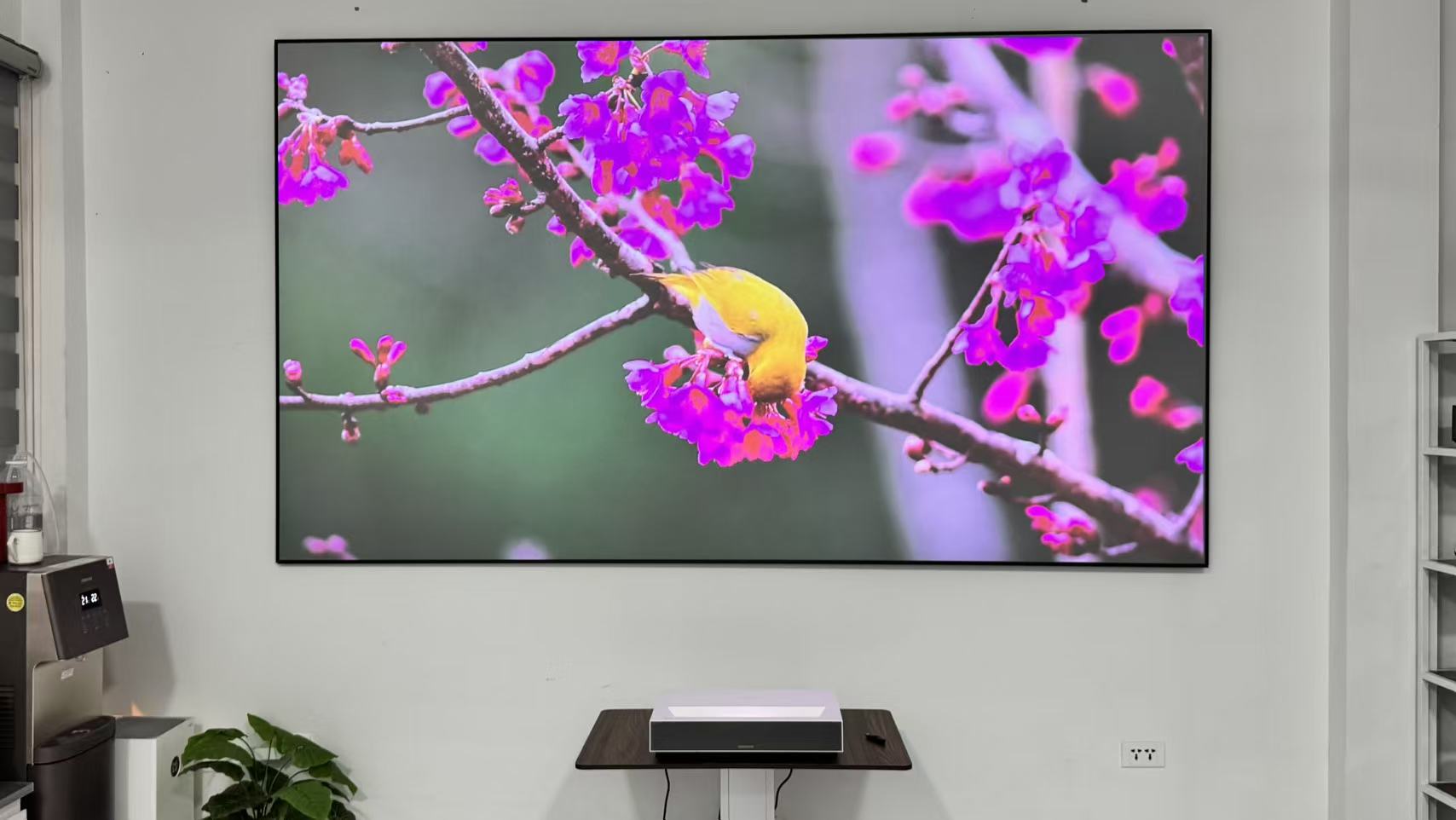 Máy chiếu LED – Máy Chiếu Chính Hãng – Giá Tốt | Giao Hàng Toàn Quốc